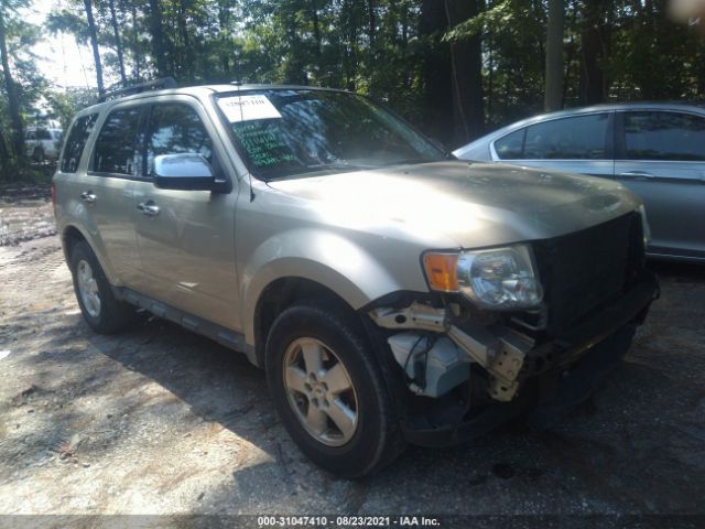 Photo 0 VIN: 1FMCU0D75BKB43313 - FORD ESCAPE 