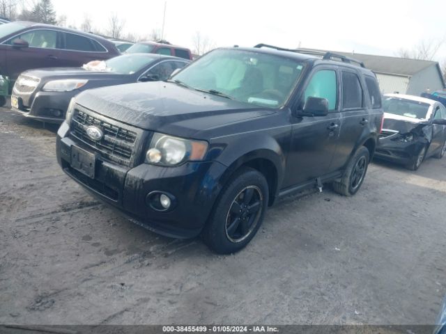 Photo 1 VIN: 1FMCU0D76AKD18733 - FORD ESCAPE 