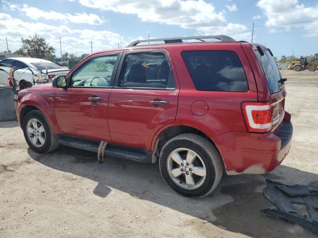 Photo 1 VIN: 1FMCU0D76BKA04453 - FORD ESCAPE 