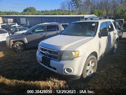 Photo 1 VIN: 1FMCU0D76BKA12200 - FORD ESCAPE 