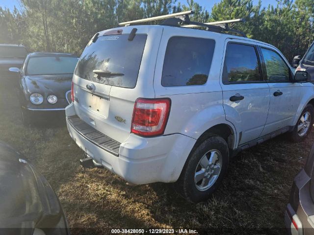 Photo 3 VIN: 1FMCU0D76BKA12200 - FORD ESCAPE 