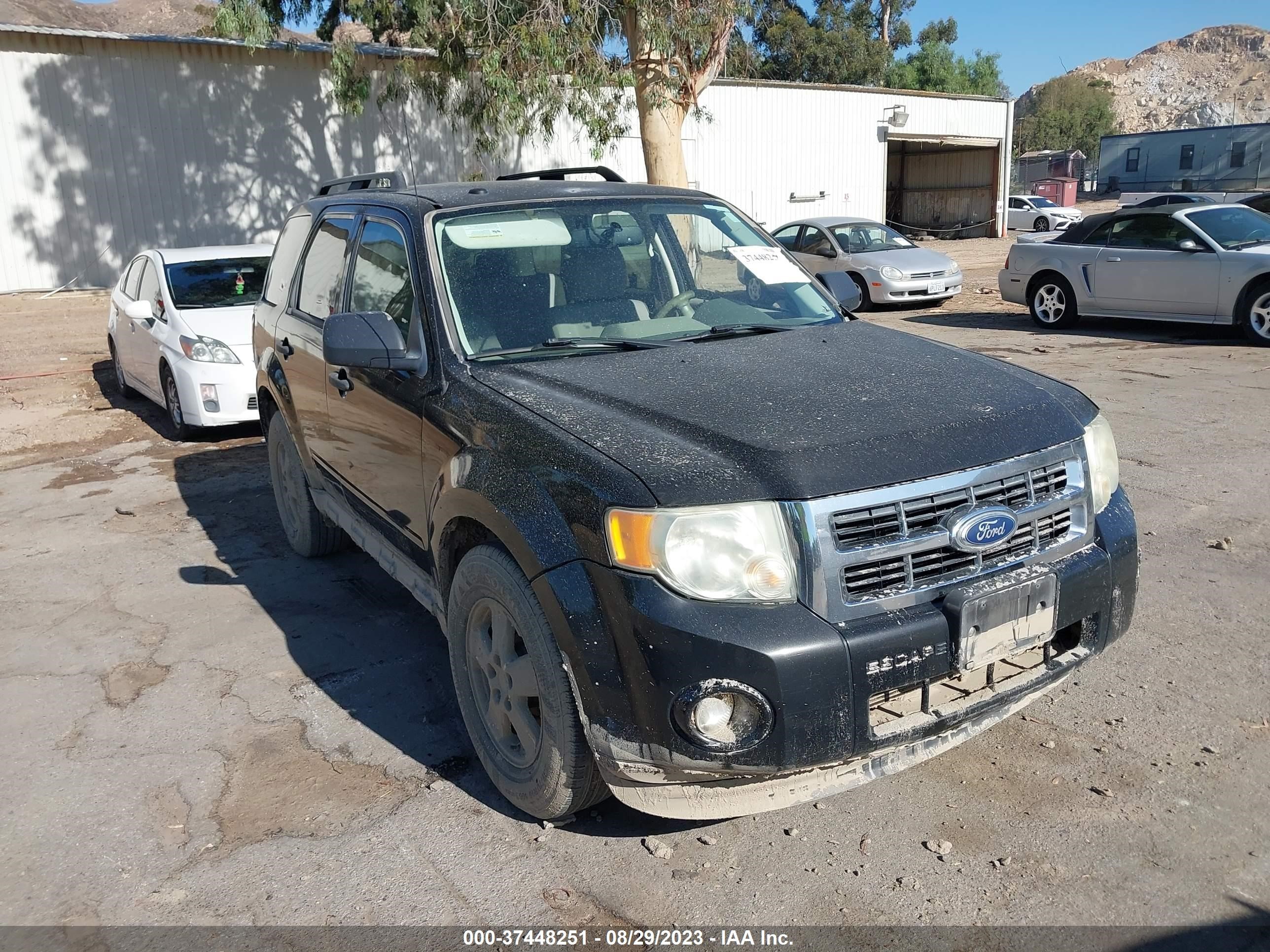 Photo 0 VIN: 1FMCU0D76BKB73226 - FORD ESCAPE 