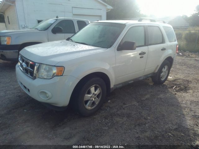 Photo 1 VIN: 1FMCU0D77AKB89031 - FORD ESCAPE 