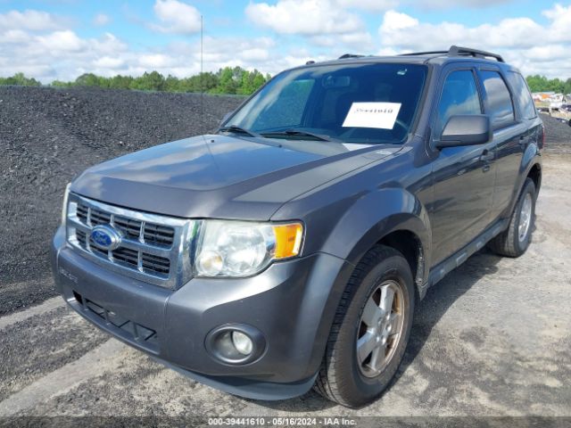 Photo 5 VIN: 1FMCU0D77BKA67268 - FORD ESCAPE 