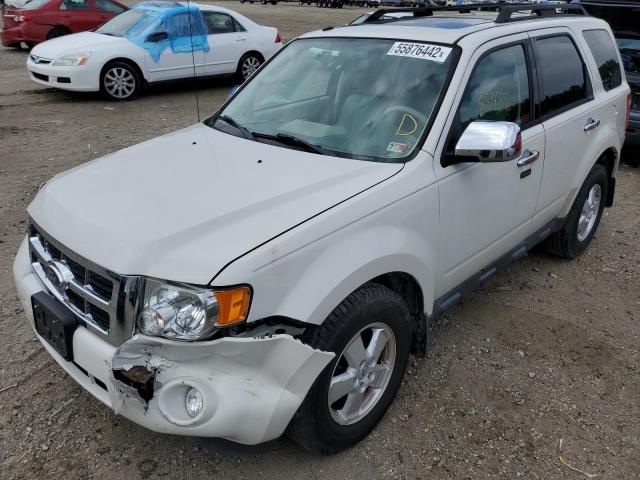 Photo 1 VIN: 1FMCU0D78BKA91630 - FORD ESCAPE XLT 