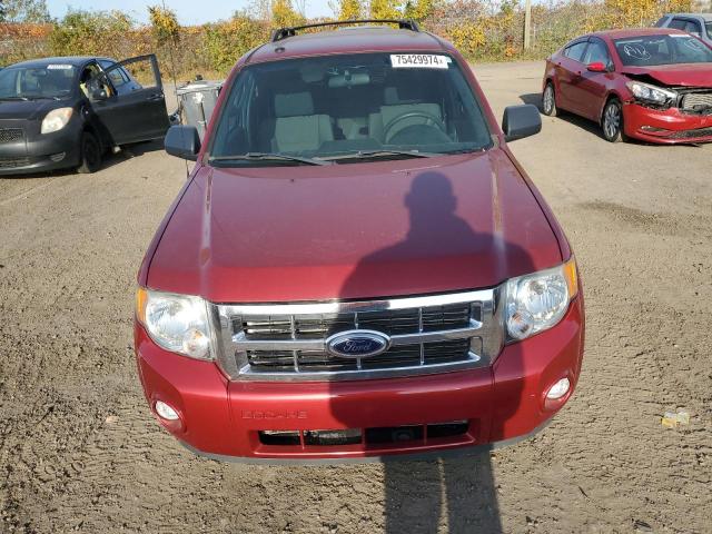 Photo 4 VIN: 1FMCU0D78CKB72161 - FORD ESCAPE XLT 