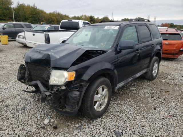 Photo 1 VIN: 1FMCU0D79AKB56256 - FORD ESCAPE XLT 