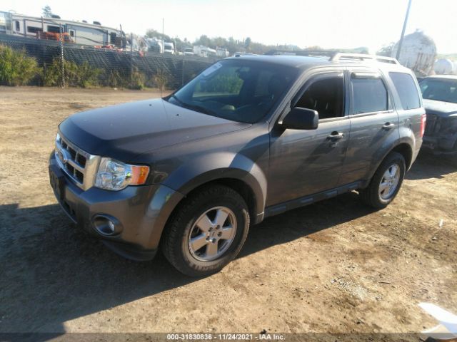 Photo 1 VIN: 1FMCU0D79BKC41793 - FORD ESCAPE 