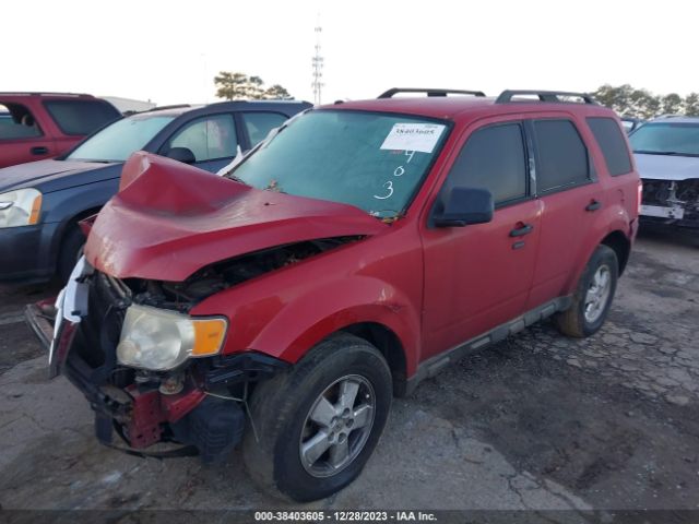 Photo 1 VIN: 1FMCU0D7XAKD12403 - FORD ESCAPE 