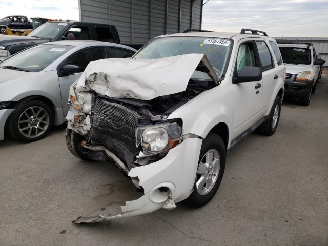 Photo 1 VIN: 1FMCU0D7XBKB37197 - FORD ESCAPE XLT 