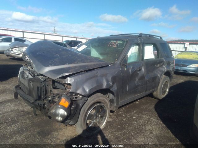 Photo 1 VIN: 1FMCU0D7XBKB42867 - FORD ESCAPE 