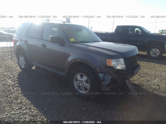 Photo 0 VIN: 1FMCU0D7XBKB53402 - FORD ESCAPE 