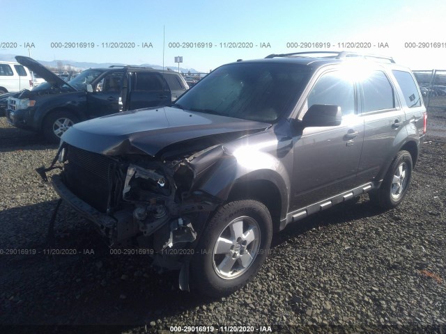 Photo 1 VIN: 1FMCU0D7XBKB53402 - FORD ESCAPE 