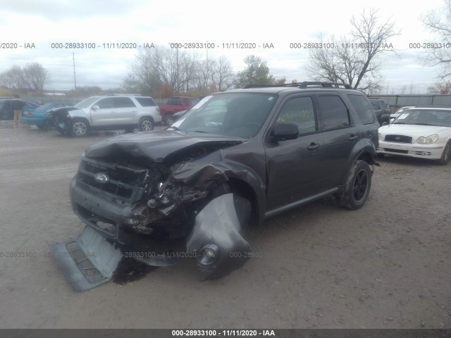 Photo 1 VIN: 1FMCU0D7XBKB89946 - FORD ESCAPE 