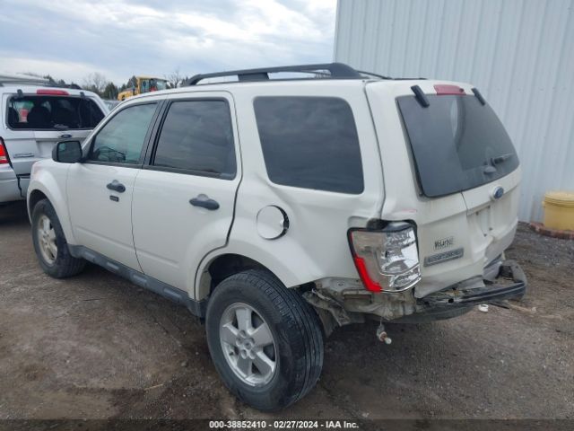 Photo 2 VIN: 1FMCU0D7XBKC29426 - FORD ESCAPE 