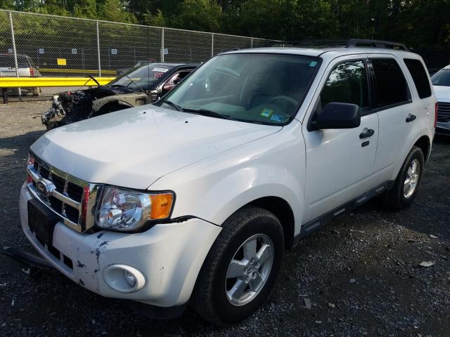 Photo 1 VIN: 1FMCU0D7XBKC40281 - FORD ESCAPE XLT 