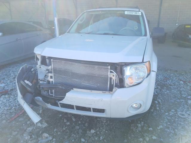 Photo 8 VIN: 1FMCU0DG0AKD48360 - FORD ESCAPE XLT 