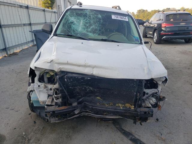 Photo 4 VIN: 1FMCU0DG0BKA52854 - FORD ESCAPE XLT 