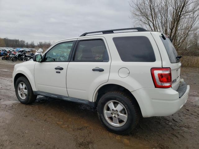 Photo 1 VIN: 1FMCU0DG0BKC61446 - FORD ESCAPE XLT 