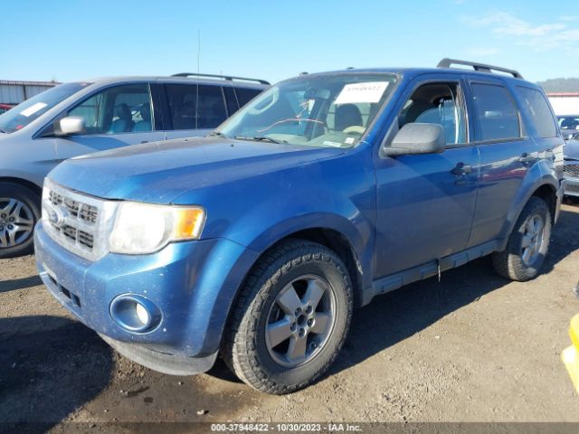 Photo 1 VIN: 1FMCU0DG1AKA93704 - FORD ESCAPE 