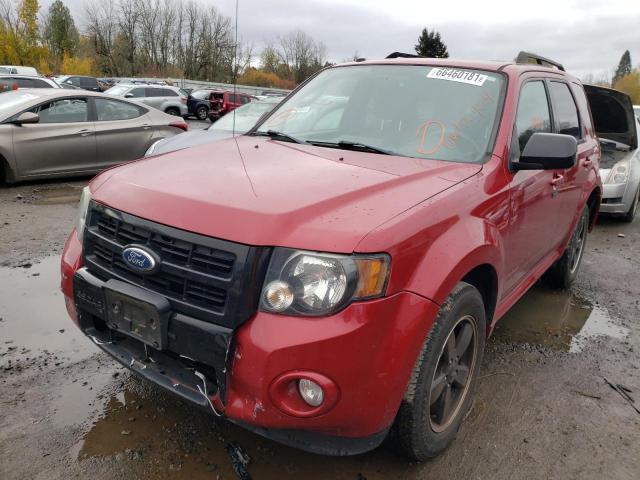 Photo 1 VIN: 1FMCU0DG1AKD48397 - FORD ESCAPE XLT 