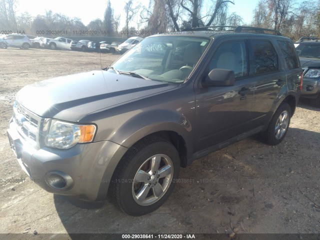 Photo 1 VIN: 1FMCU0DG1BKB82657 - FORD ESCAPE 