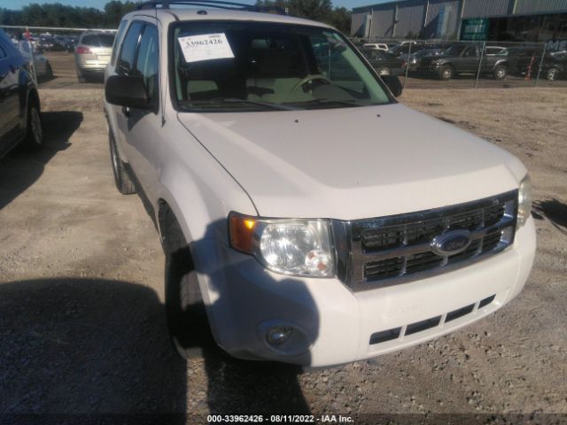 Photo 0 VIN: 1FMCU0DG1BKB90175 - FORD ESCAPE 