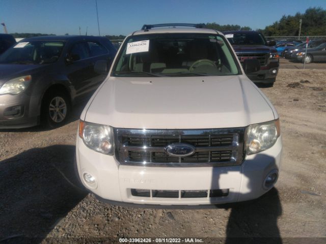 Photo 5 VIN: 1FMCU0DG1BKB90175 - FORD ESCAPE 