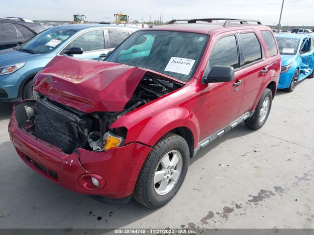 Photo 1 VIN: 1FMCU0DG1BKB95425 - FORD ESCAPE 