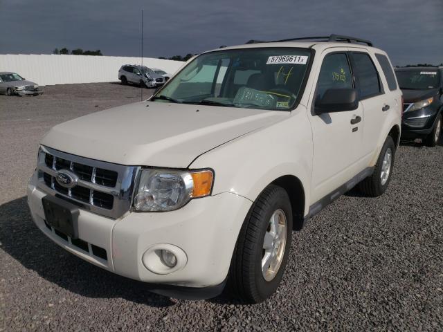 Photo 1 VIN: 1FMCU0DG2CKC85698 - FORD ESCAPE XLT 