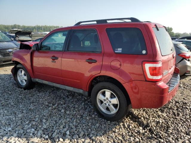 Photo 1 VIN: 1FMCU0DG3AKB53739 - FORD ESCAPE XLT 