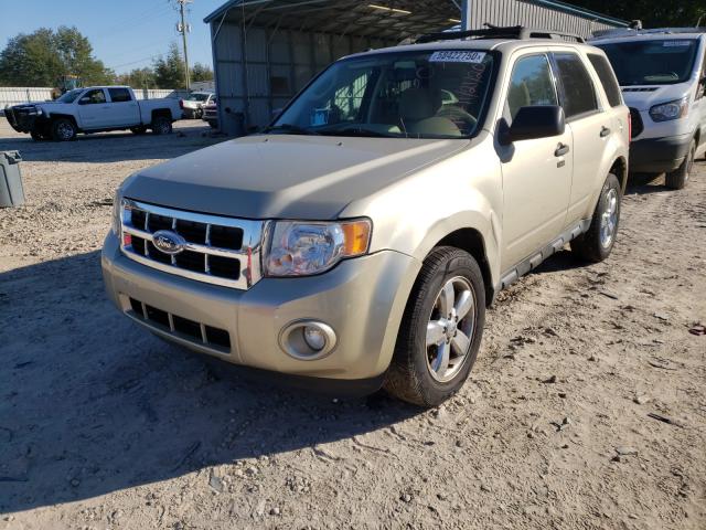 Photo 1 VIN: 1FMCU0DG3BKA86030 - FORD ESCAPE XLT 