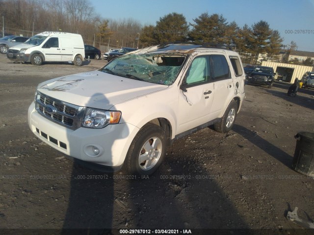 Photo 1 VIN: 1FMCU0DG3BKB32326 - FORD ESCAPE 