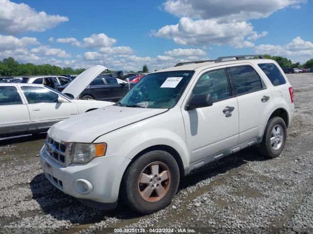 Photo 1 VIN: 1FMCU0DG4CKC52167 - FORD ESCAPE 