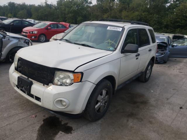 Photo 1 VIN: 1FMCU0DG5AKA43372 - FORD ESCAPE XLT 