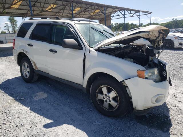 Photo 3 VIN: 1FMCU0DG5AKA55067 - FORD ESCAPE 