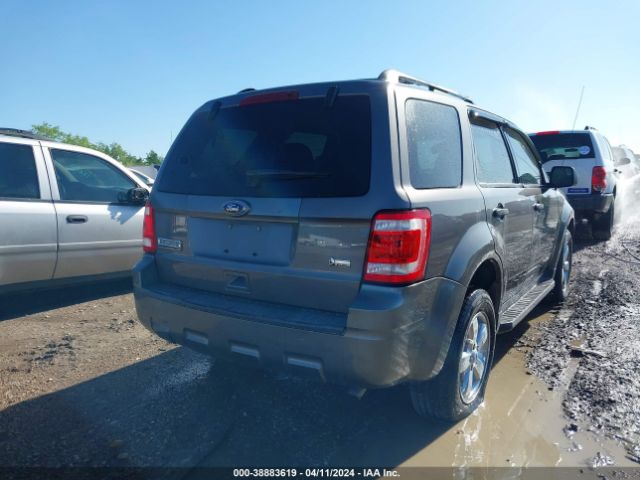 Photo 3 VIN: 1FMCU0DG5AKA55912 - FORD ESCAPE 