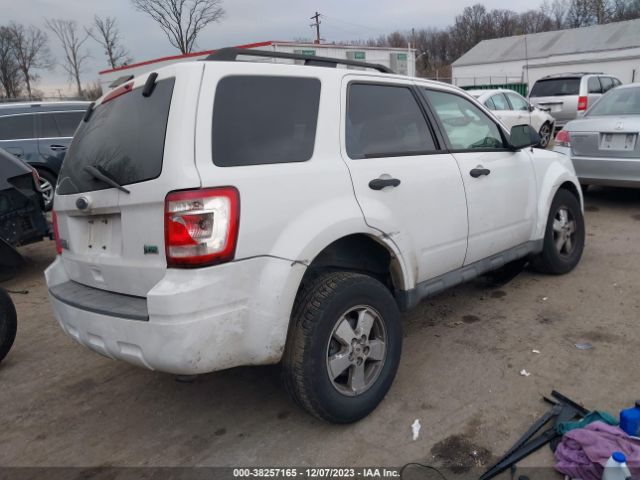 Photo 3 VIN: 1FMCU0DG5AKC58539 - FORD ESCAPE 