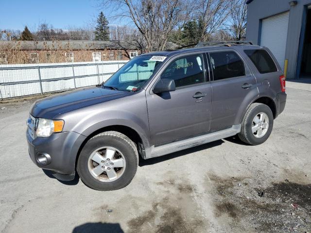 Photo 0 VIN: 1FMCU0DG5AKD09683 - FORD ESCAPE 