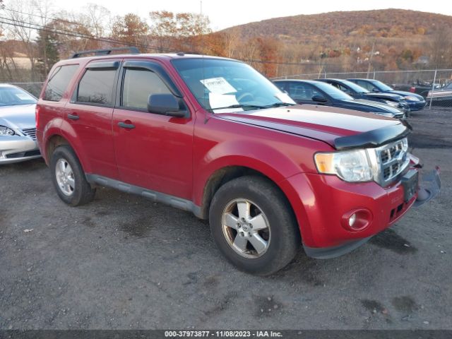 Photo 0 VIN: 1FMCU0DG5BKC08919 - FORD ESCAPE 