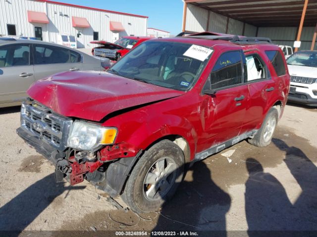 Photo 1 VIN: 1FMCU0DG6BKA91254 - FORD ESCAPE 