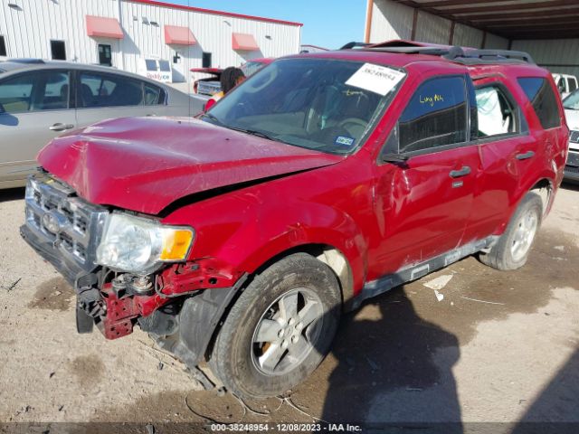 Photo 5 VIN: 1FMCU0DG6BKA91254 - FORD ESCAPE 