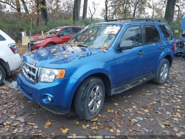 Photo 1 VIN: 1FMCU0DG6BKB12166 - FORD ESCAPE 