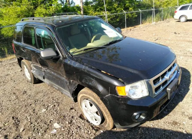 Photo 0 VIN: 1FMCU0DG6BKB99101 - FORD ESCAPE 