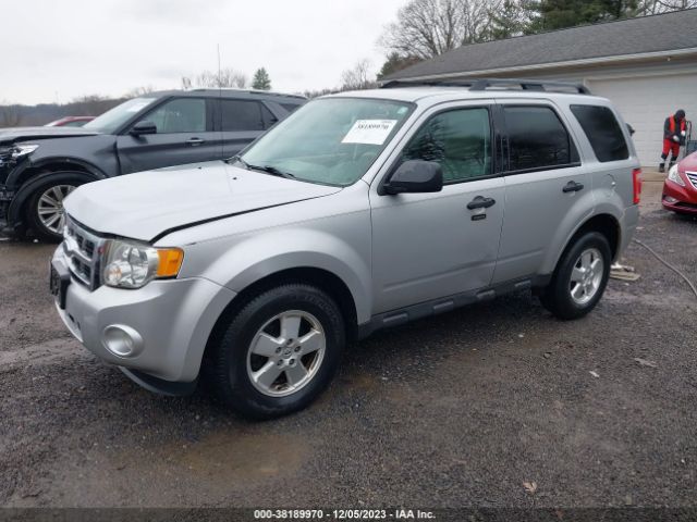 Photo 1 VIN: 1FMCU0DG6BKC70765 - FORD ESCAPE 