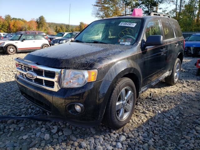 Photo 1 VIN: 1FMCU0DG7AKC91669 - FORD ESCAPE XLT 