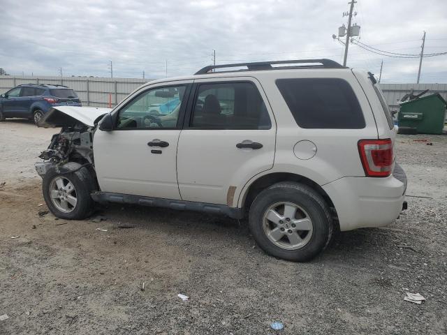 Photo 1 VIN: 1FMCU0DG7AKD34259 - FORD ESCAPE XLT 