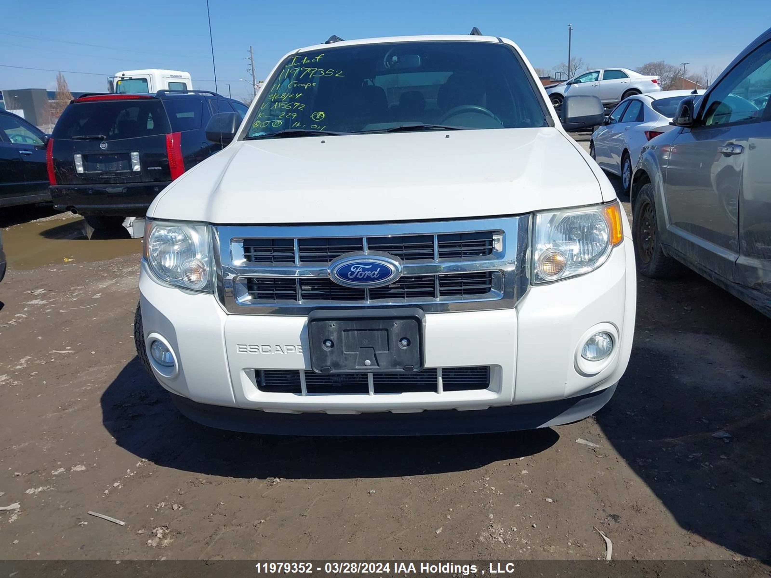 Photo 11 VIN: 1FMCU0DG7BKA15672 - FORD ESCAPE 