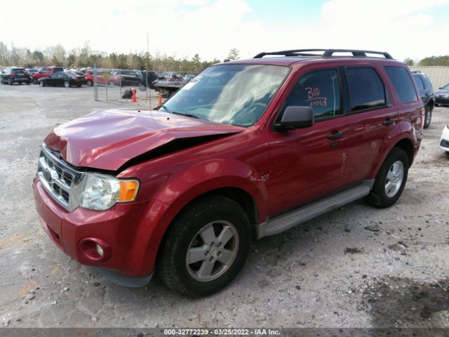 Photo 1 VIN: 1FMCU0DG7BKB57584 - FORD ESCAPE 