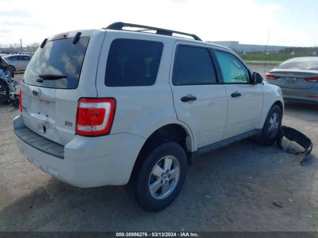 Photo 3 VIN: 1FMCU0DG7BKC04080 - FORD ESCAPE 